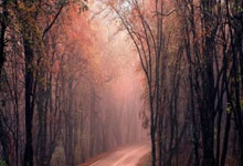 场均14+2!曾经的二当家泯然众人,离开库里你难冲冠.