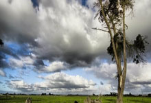 量身定做的席位大洋洲有1个直通名额,新西兰5场29球全胜通关.