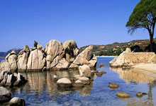 中欧体育官网:TyC记者:洛塞尔索因未及时康复无缘阿根廷队本期最终名单.